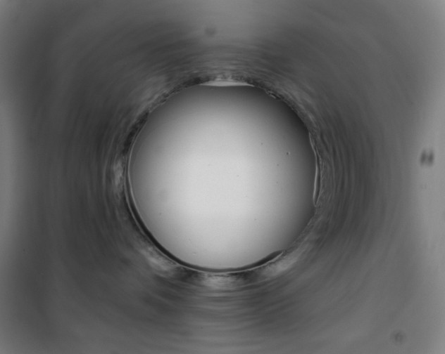 X0000101700336200807101351