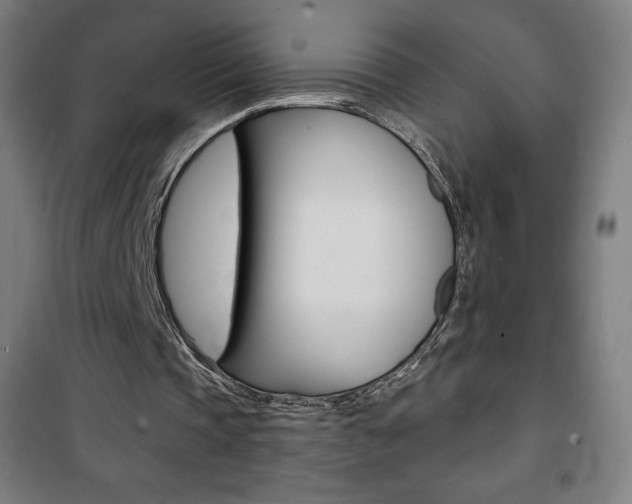 X0000101700337200807101351