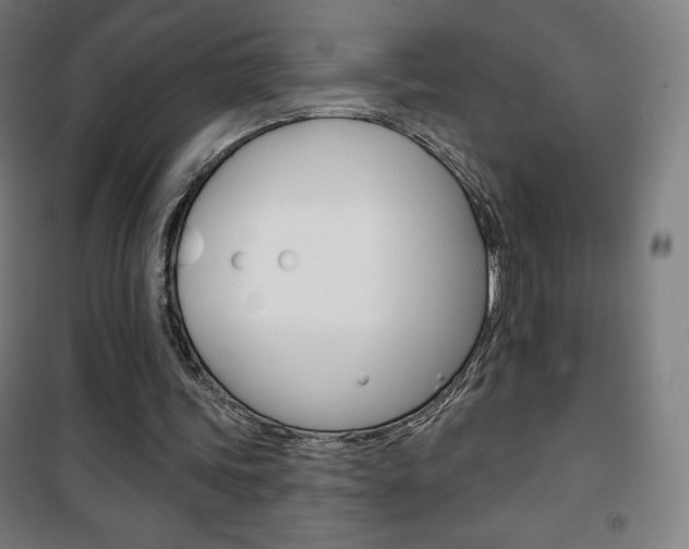X0000101700339200807101351