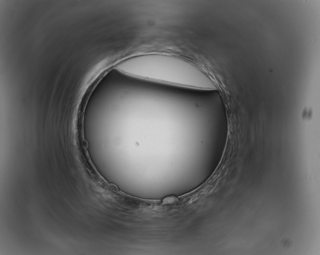 X0000101700340200807101351