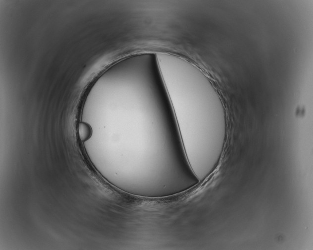 X0000101700341200807101351