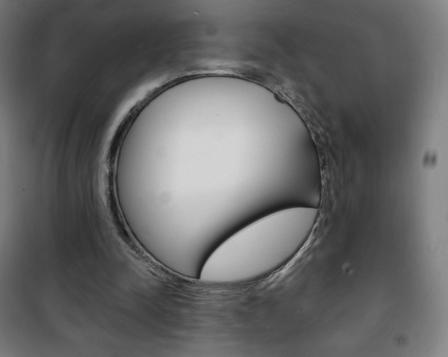 X0000101700342200807101351