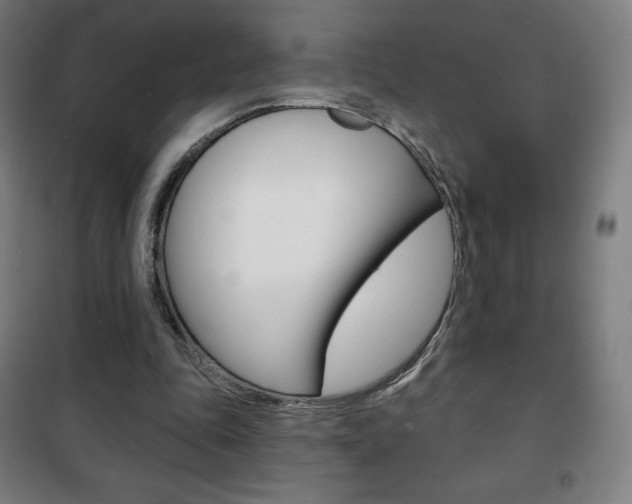 X0000101700343200807101351