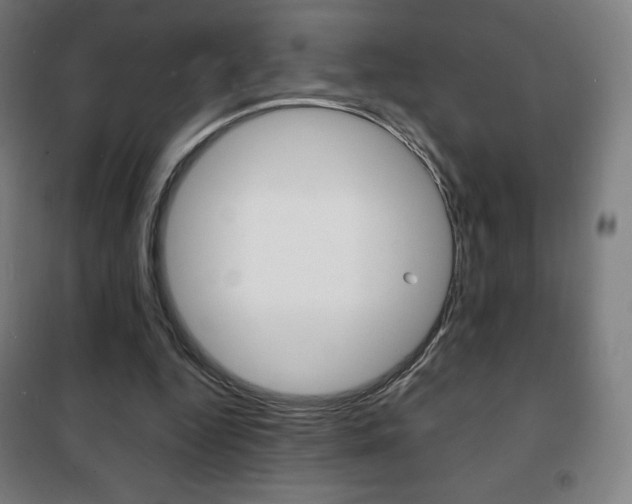 X0000101700344200807101351