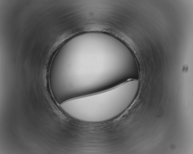X0000101700345200807101351