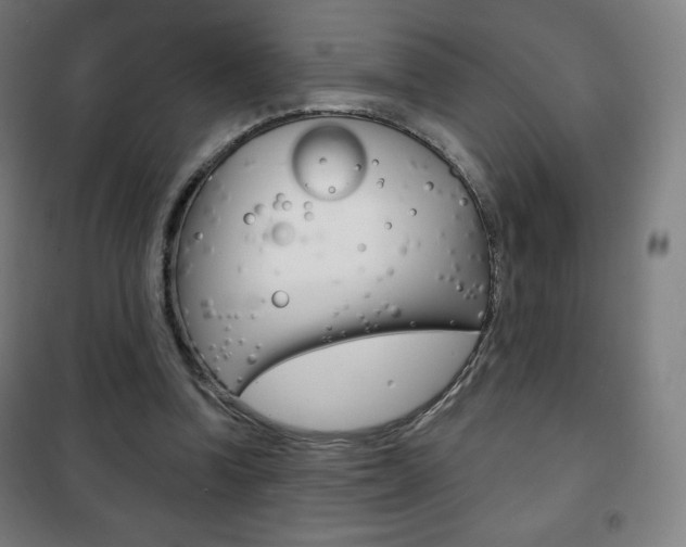 X0000101700346200807101351