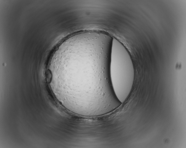 X0000101700347200807101351