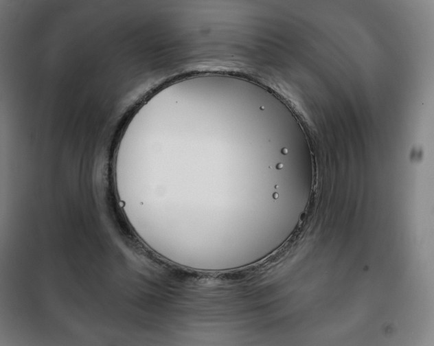 X0000101700348200807101351
