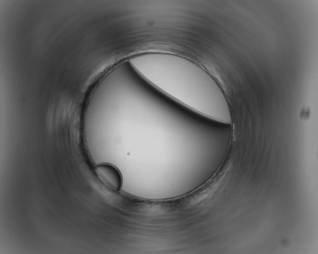 X0000101700349200807101351