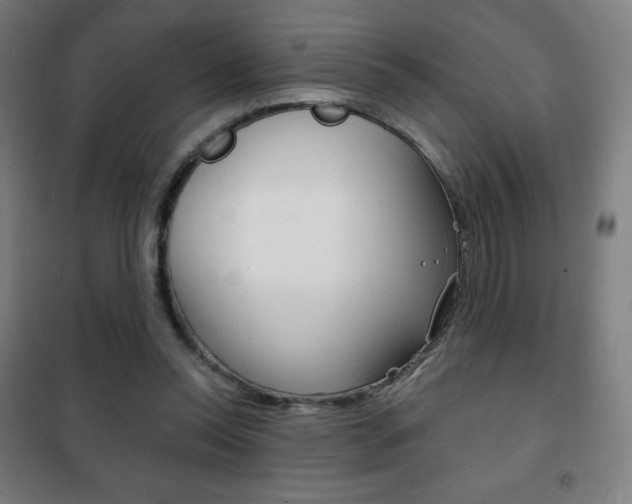 X0000101700350200807101351