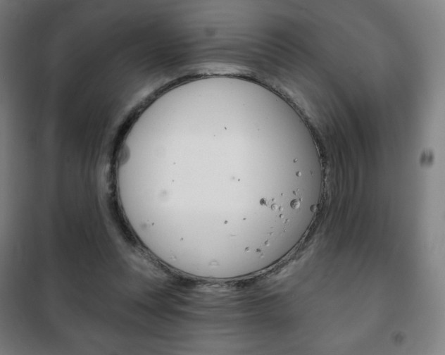 X0000101700351200807101351