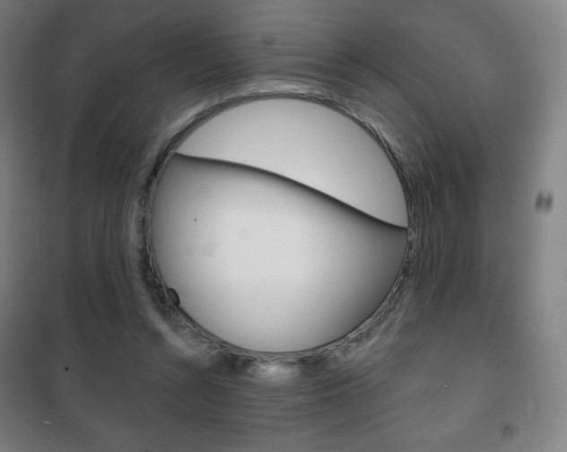 X0000101700352200807101351