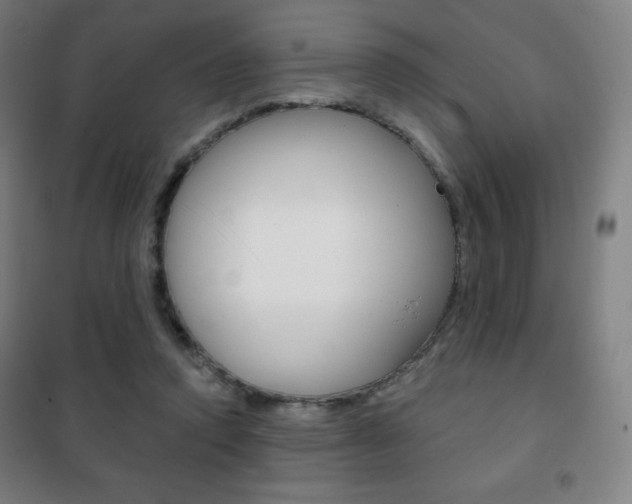 X0000101700354200807101351