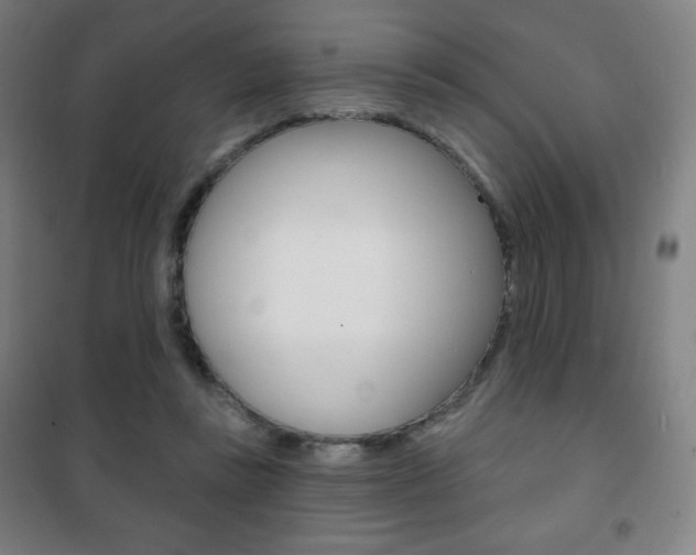 X0000101700355200807101351