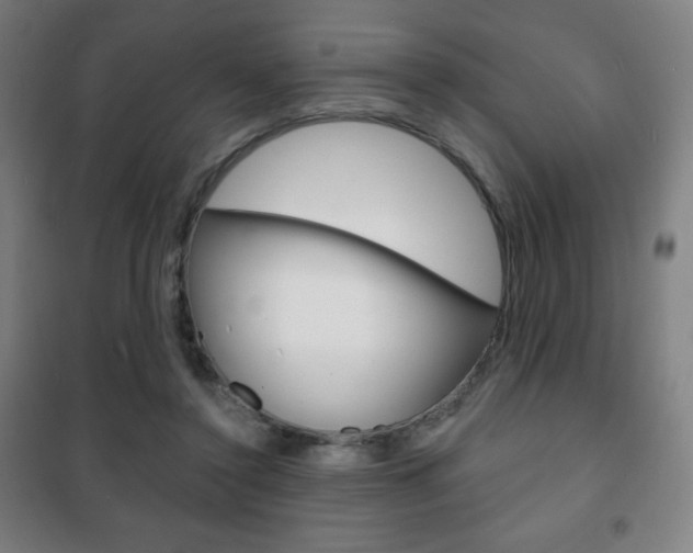 X0000101700356200807101351