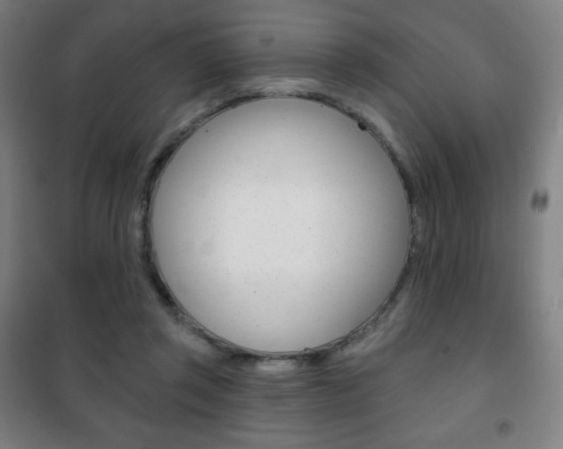 X0000101700357200807101351