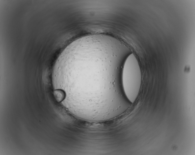 X0000101700359200807101351
