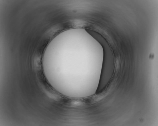 X0000101700360200807101351