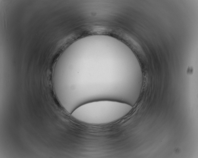 X0000101700361200807101351