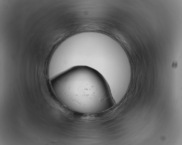 X0000101700362200807101351