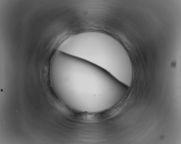 X0000101700365200807101351