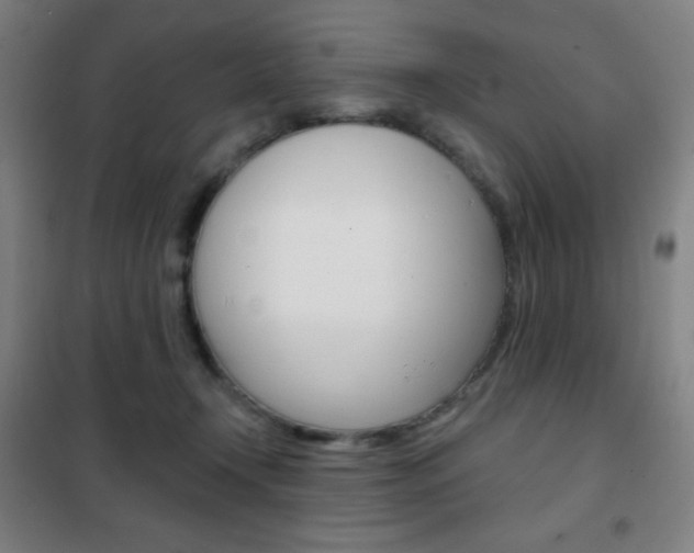 X0000101700366200807101351