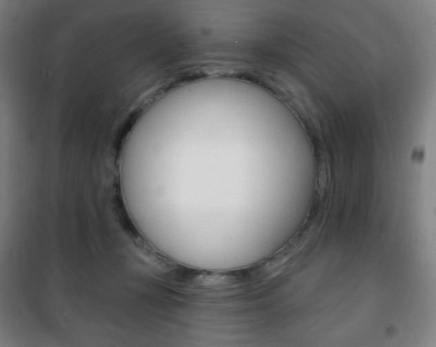 X0000101700367200807101351