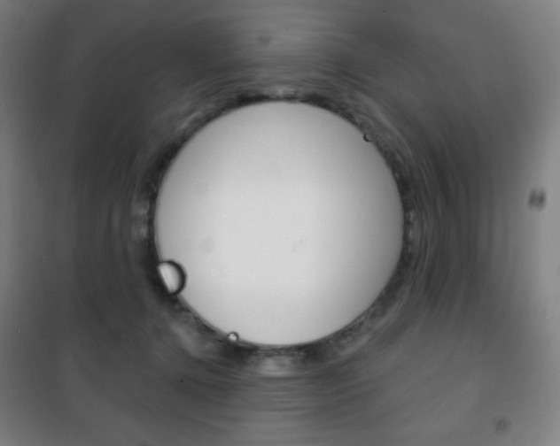 X0000101700368200807101351
