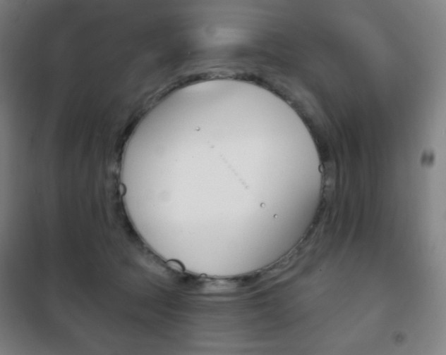 X0000101700369200807101351