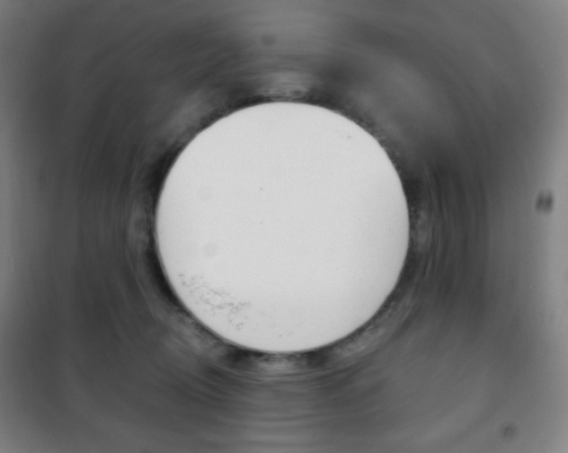 X0000101700370200807101351