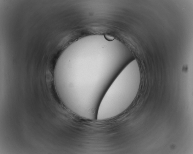 X0000101700371200807101351