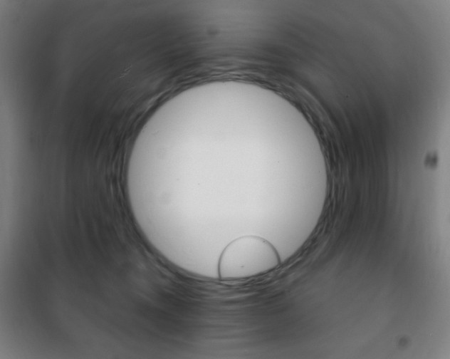 X0000101700372200807101351