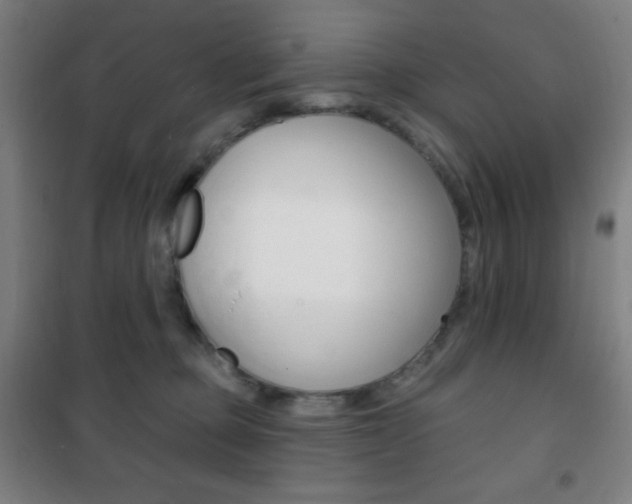 X0000101700373200807101351