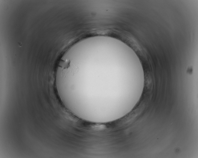 X0000101700374200807101351