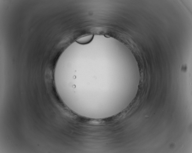 X0000101700375200807101351