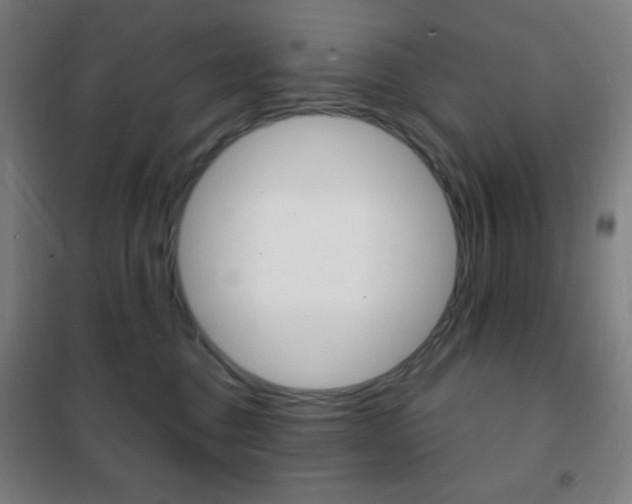 X0000101700376200807101351