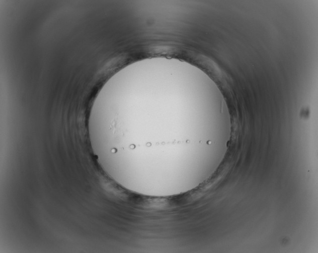 X0000101700377200807101351