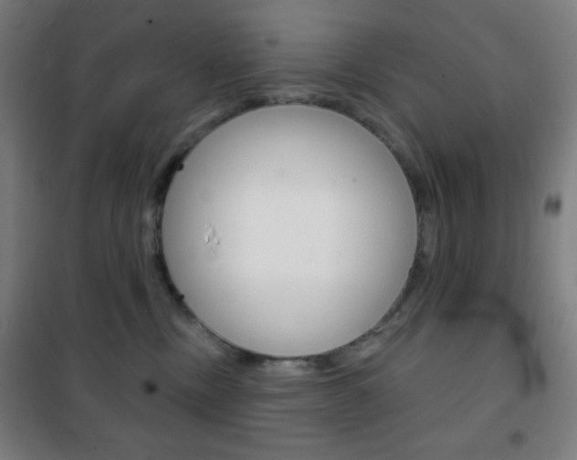 X0000101700378200807101351