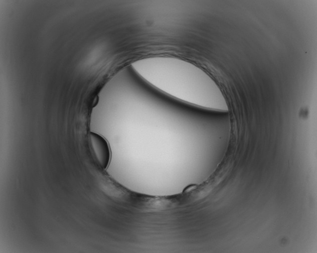 X0000101700379200807101351