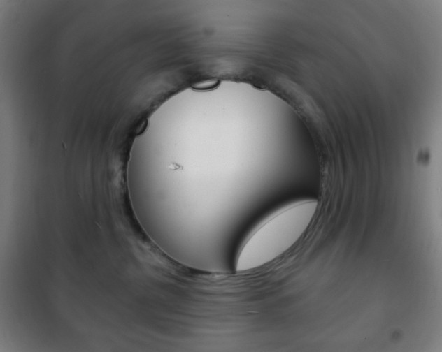 X0000101700380200807101351