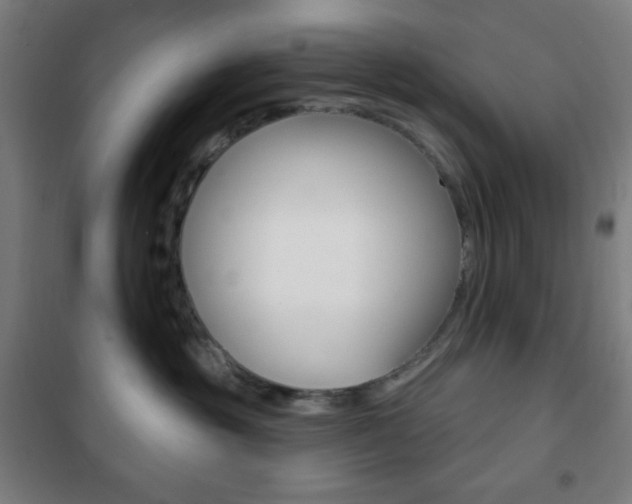 X0000101700381200807101351