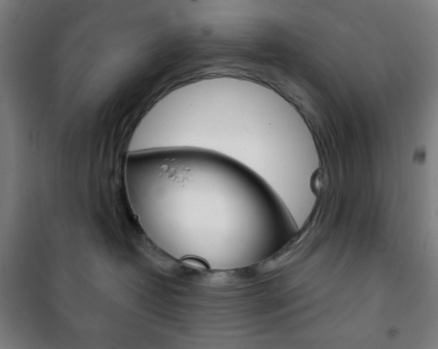 X0000101700382200807101351