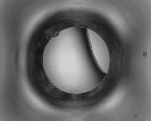 X0000101700383200807101351
