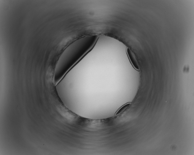 X0000101700384200807101351