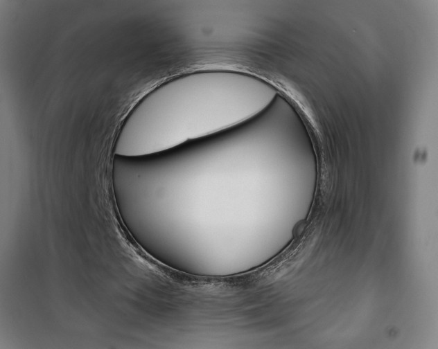 X0000101700385200807101351