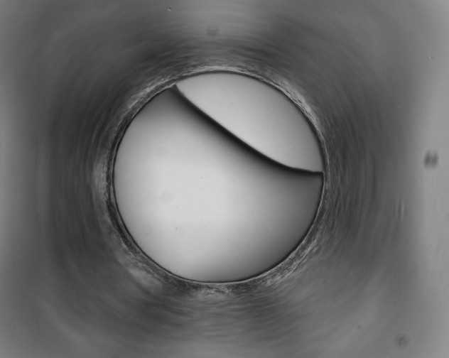 X0000101700386200807101351