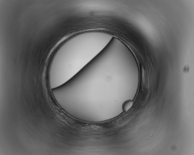 X0000101700387200807101350