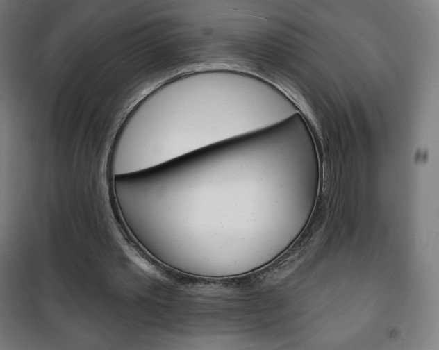 X0000101700389200807101350