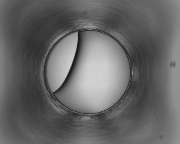 X0000101700390200807101350
