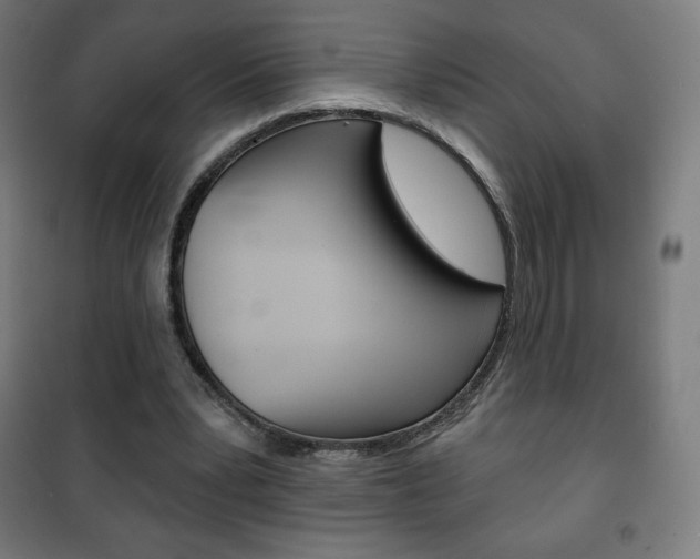 X0000101700391200807101350